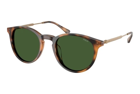 Ophthalmic Glasses Polo PH4239U 500371