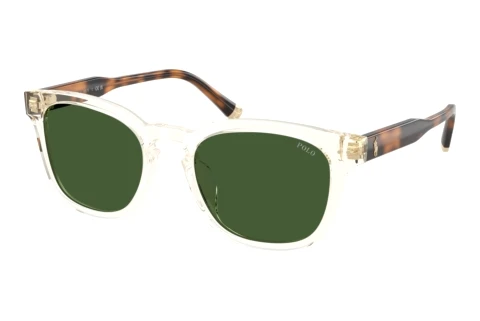 Ophthalmic Glasses Polo PH4242U 635771