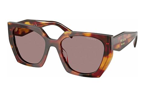 Lunettes de soleil Prada PR 15WS 22A20I