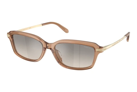 Ophthalmic Glasses Ralph Lauren RL8245U 637708