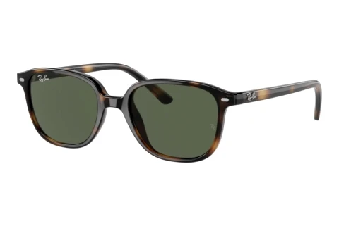 Ray-Ban Kids Junior Leonard (RJ9093S 152/71) Napszemüveg