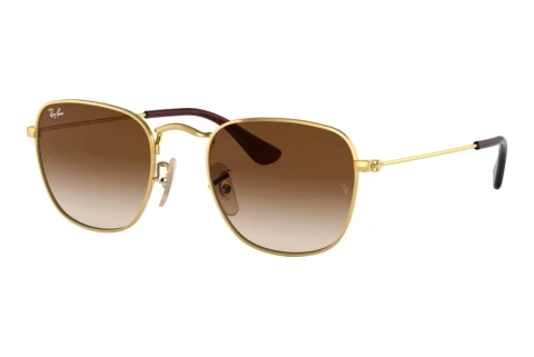 Ophthalmic Glasses Ray-Ban Kids Junior Frank (RJ9557S 223/13)