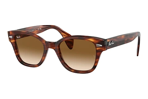 Γυαλιά ηλίου Ray-Ban RB0880S 954/51
