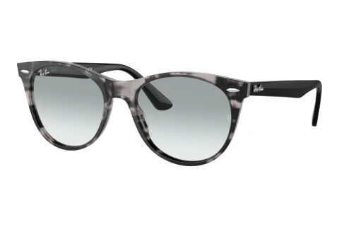 Ochelari de soare Ray-Ban Wayfarer II (RB2185 1250AD)