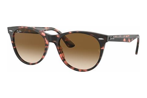 Sunčane naočale Ray-Ban WAYFARER II (RB2185 133451)