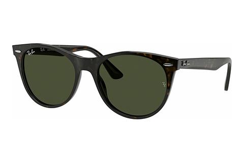 Akiniai nuo saulės Ray-Ban Wayfarer II (RB2185 902/31)