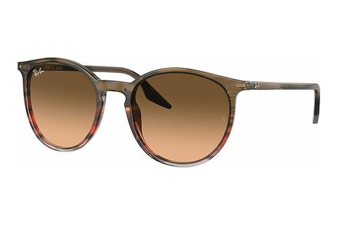 Saulesbrilles Ray-Ban RB2204 13953B