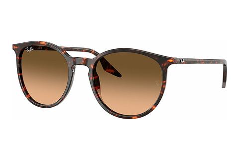 Solglasögon Ray-Ban RB2204 14293B