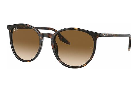 Zonnebril Ray-Ban RB2204 902/51