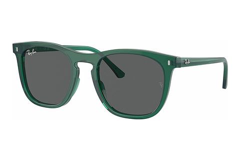 Sonnenbrille Ray-Ban RB2210 6615B1