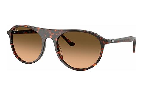 Solglasögon Ray-Ban RB2215 14293B