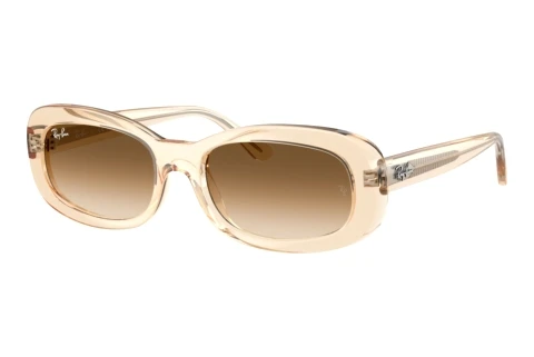 Solglasögon Ray-Ban RB2221 690251