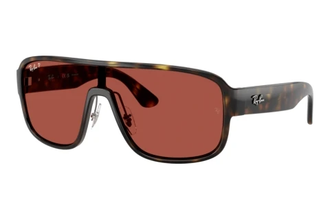 Ray-Ban RB2229 710/1B Napszemüveg