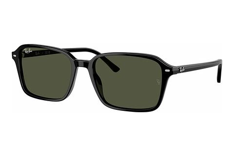 Päikeseprillid Ray-Ban RAIMOND (RB2231 901/31)