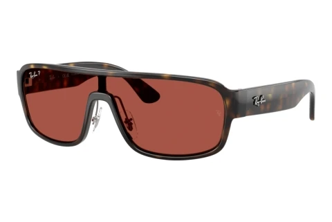 Solglasögon Ray-Ban RB2233 710/1B