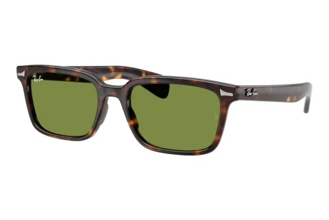 Solglasögon Ray-Ban BRUNEL (RB2234 902/4E)