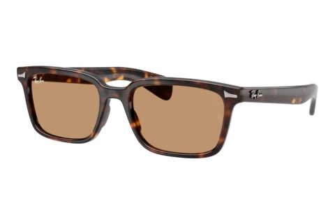 Solglasögon Ray-Ban BRUNEL (RB2234 902/53)