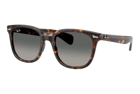 Ray-Ban BRUNEL II (RB2235 902/71) Napszemüveg