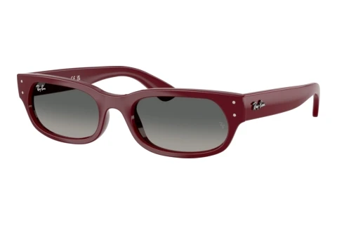 Solglasögon Ray-Ban RB2236 689971