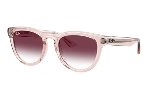 Solglasögon Ray-Ban RB2237 69018H
