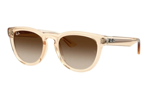 Solglasögon Ray-Ban RB2237 690213