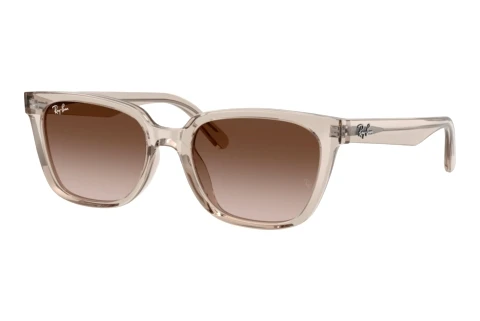 Solglasögon Ray-Ban RB2243D 682713