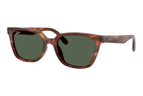Solglasögon Ray-Ban RB2243D 954/71
