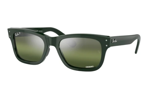 Solglasögon Ray-Ban MR BURBANK (RB2283 6659G4)
