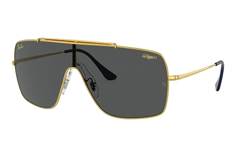 Ophthalmic Glasses Ray-Ban WINGS II (RB3697 924687)