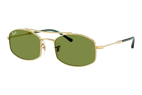 Solglasögon Ray-Ban RB3719 001/4E