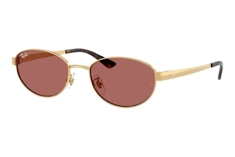 Solglasögon Ray-Ban RB3774D 001/69
