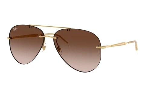 Solglasögon Ray-Ban RB3791 001/13