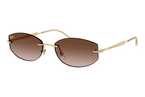 Solglasögon Ray-Ban RB3792 001/13