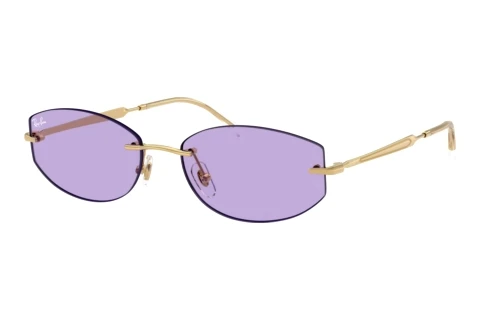 Solglasögon Ray-Ban RB3792 001/1A