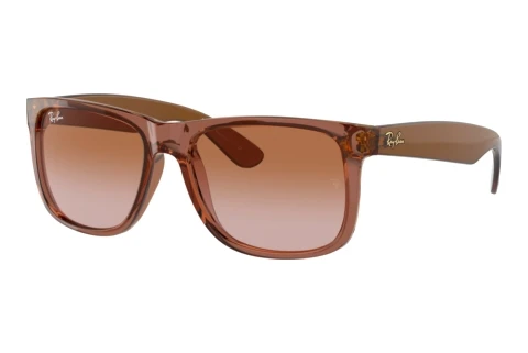 Gafas de visión Ray-Ban JUSTIN (RB4165 659413)