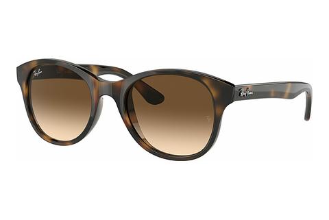 Akiniai nuo saulės Ray-Ban RB4203 710/13