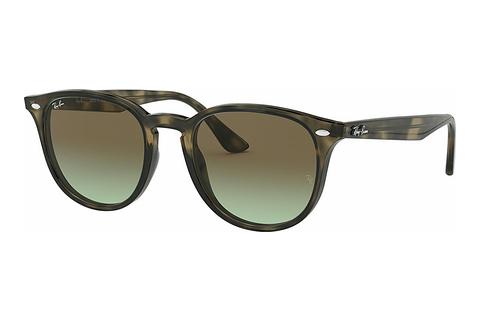 Zonnebril Ray-Ban RB4259 731/E8