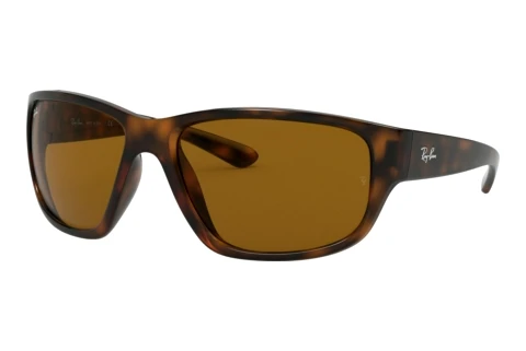 Solglasögon Ray-Ban RB4300 710/33