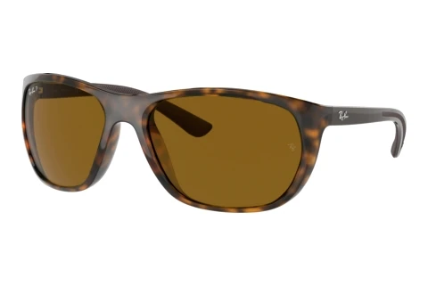 Óculos de marca Ray-Ban RB4307 710/83