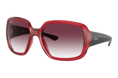 Óculos de marca Ray-Ban POWDERHORN (RB4347 66628H)