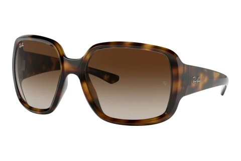 Gafas de visión Ray-Ban POWDERHORN (RB4347 710/13)