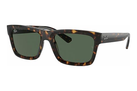 Solglasögon Ray-Ban WARREN (RB4396 135971)