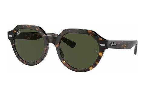 Päikeseprillid Ray-Ban GINA (RB4399 902/31)