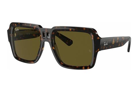 Zonnebril Ray-Ban MAGELLAN (RB4408 135973)