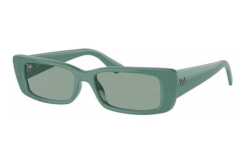 Akiniai nuo saulės Ray-Ban TERU (RB4425 676282)