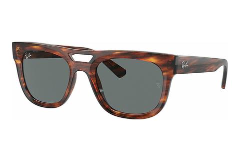 Sončna očala Ray-Ban PHIL (RB4426 139880)