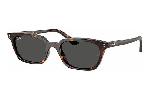 Akiniai nuo saulės Ray-Ban ZAYA (RB4456 135987)