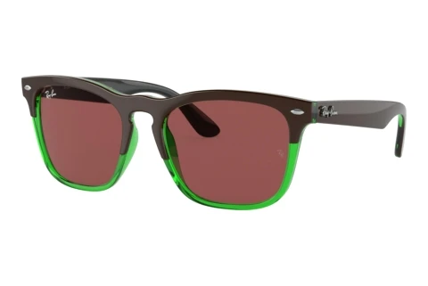 Zonnebril Ray-Ban STEVE (RB4487 663469)