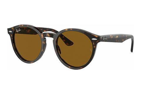 Lunettes de soleil Ray-Ban LARRY (RB7680S 902/33)