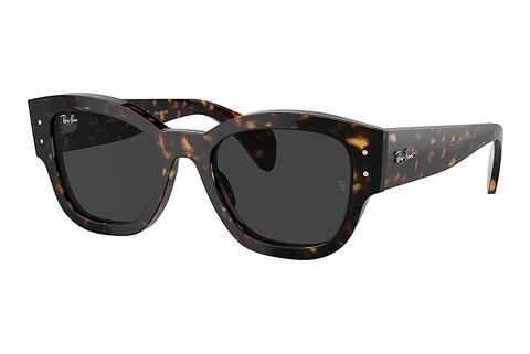 Akiniai nuo saulės Ray-Ban JORGE (RB7681S 902/48)